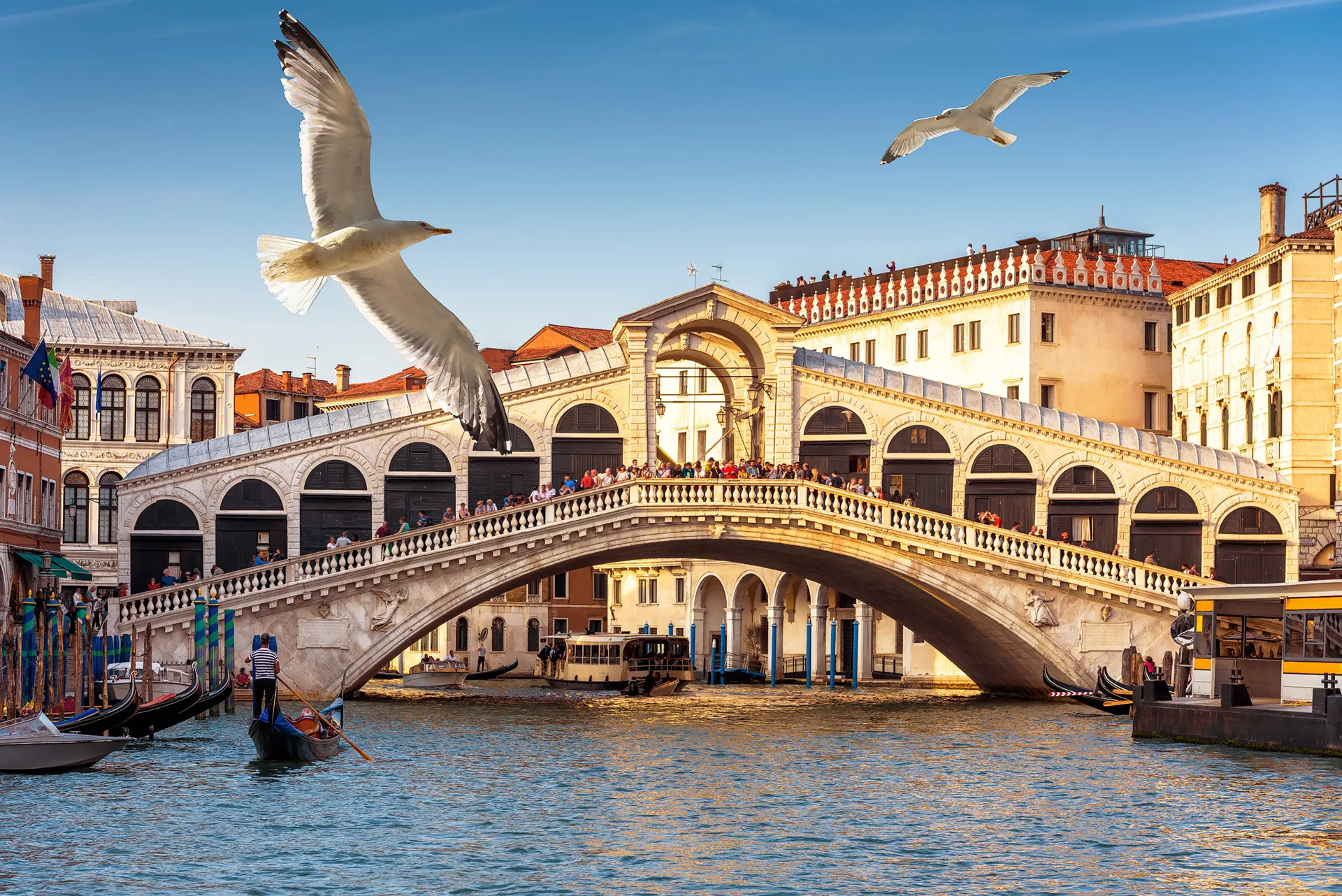 Farini Bakery a Venezia