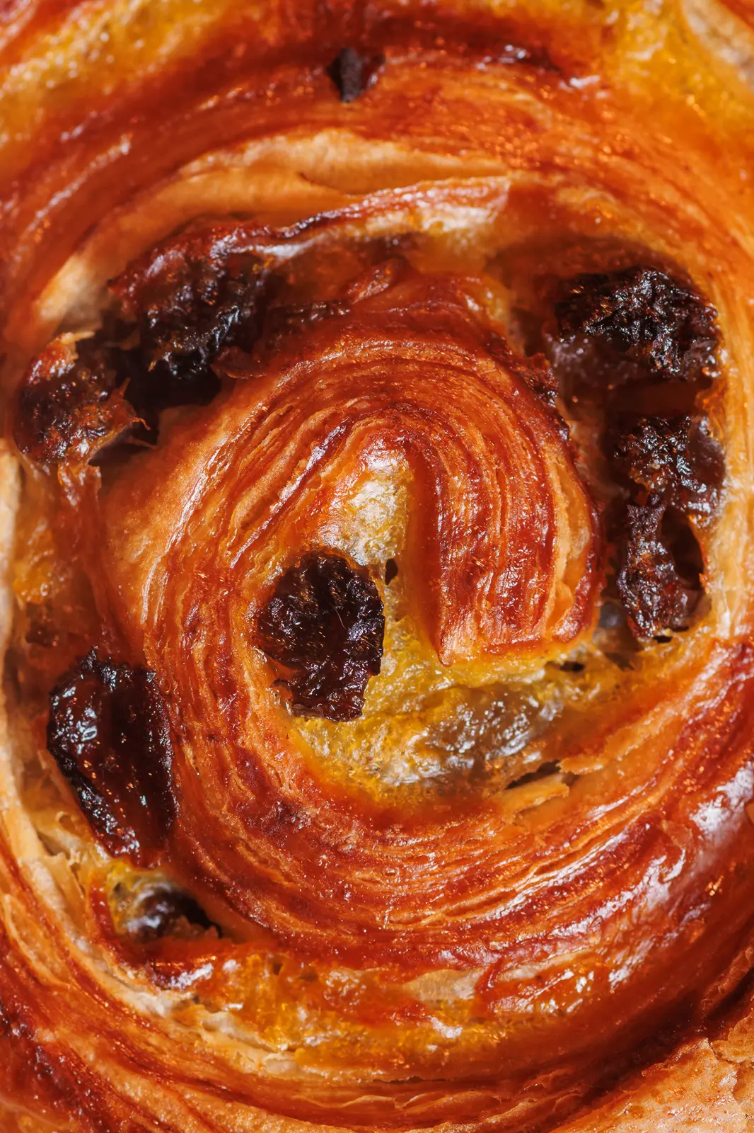 brioche girella per colazione o merenda da Farini Milano e Venezia